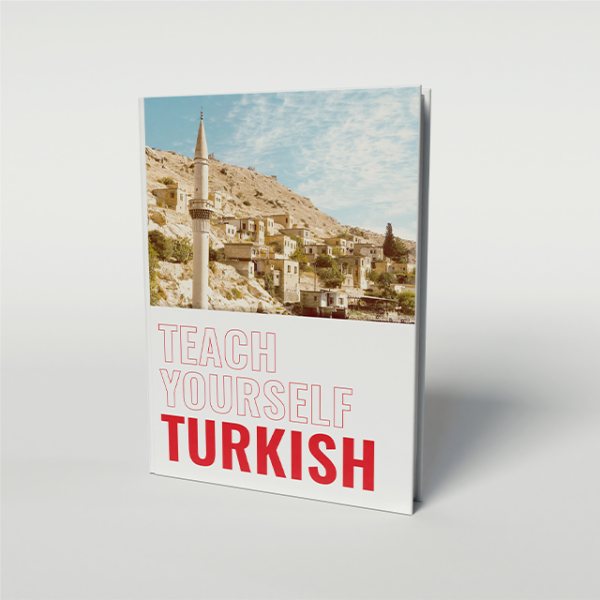 Teach Yourself Turkish