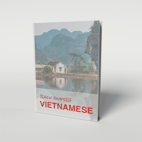 Teach Yourself Vietnamese